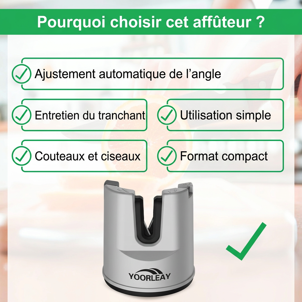 Affûteur de couteaux et ciseaux à ventouse