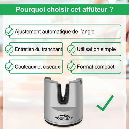 Affûteur de couteaux et ciseaux à ventouse