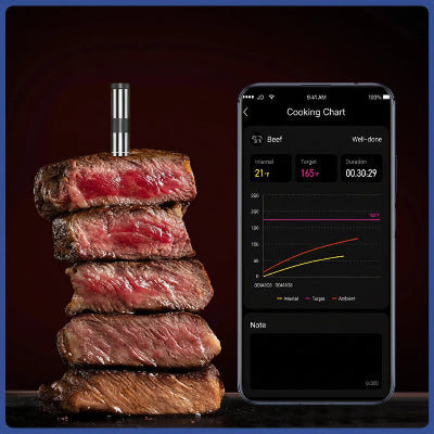 Thermomêtre à viande